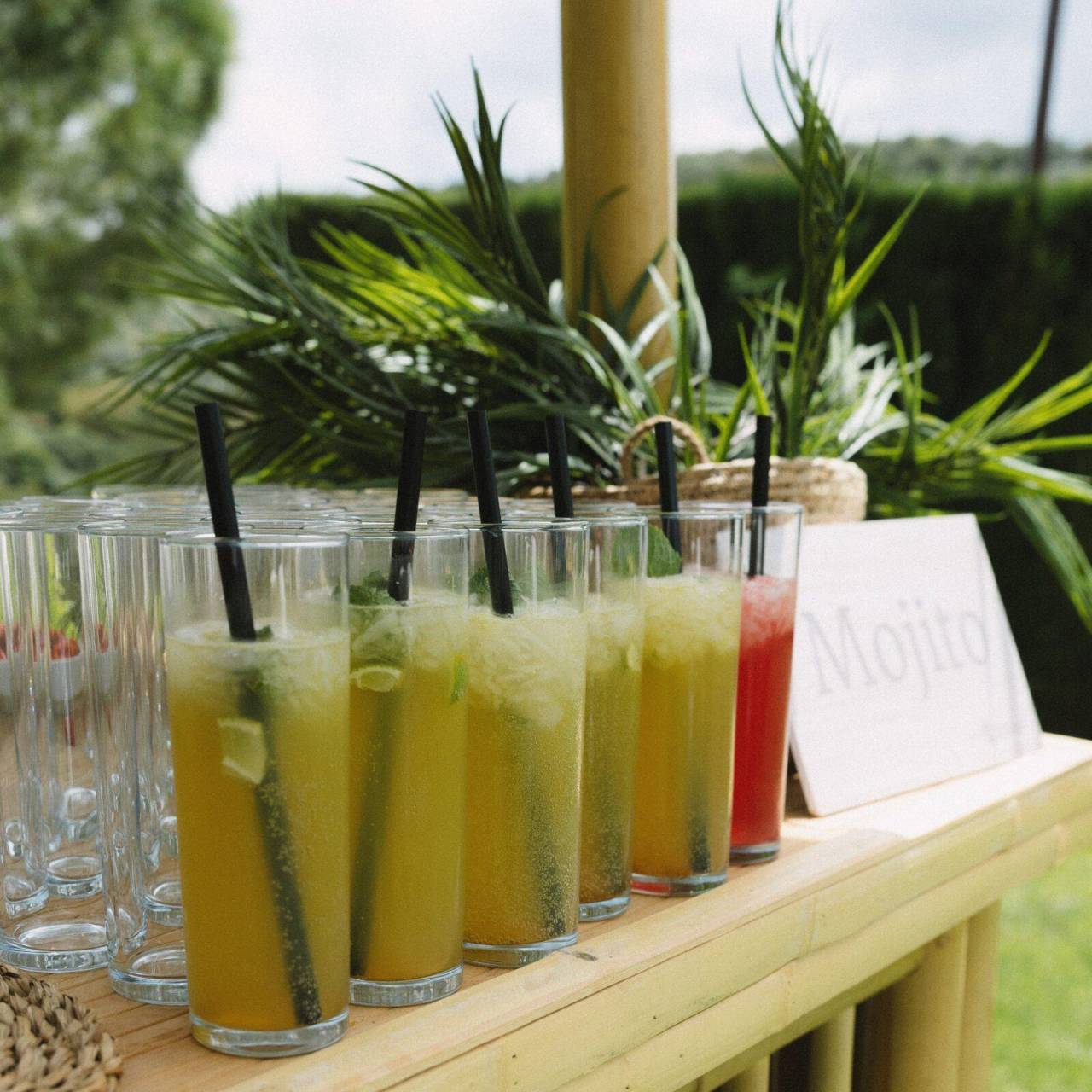 coctel de bienvenida catering (20)