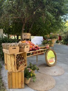 punto-decorativo-catering (30)
