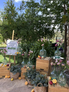 punto-decorativo-catering (38)