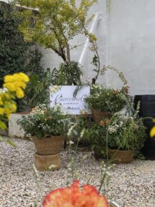 punto-decorativo-catering (27)