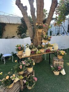 punto-decorativo-catering (16)