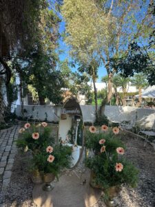 punto-decorativo-catering (23)