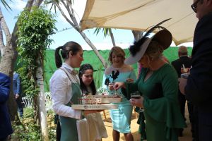 coctel-entrada-catering (117)